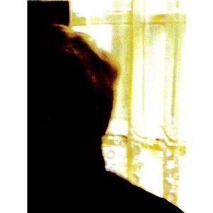 The Palace Brothers - Days In the Wake  LP LP